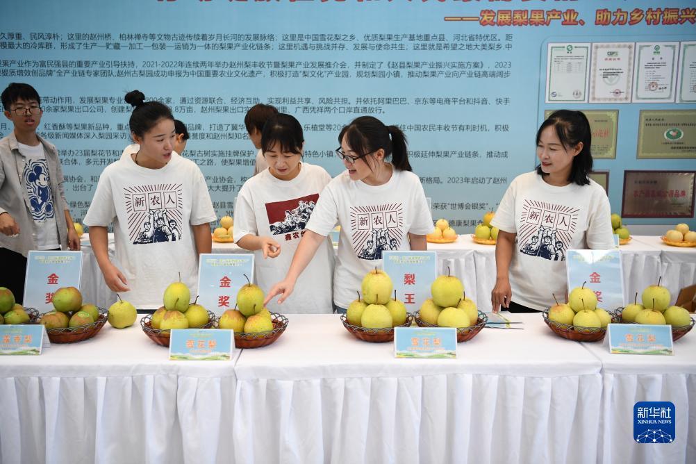 金鲨银鲨2